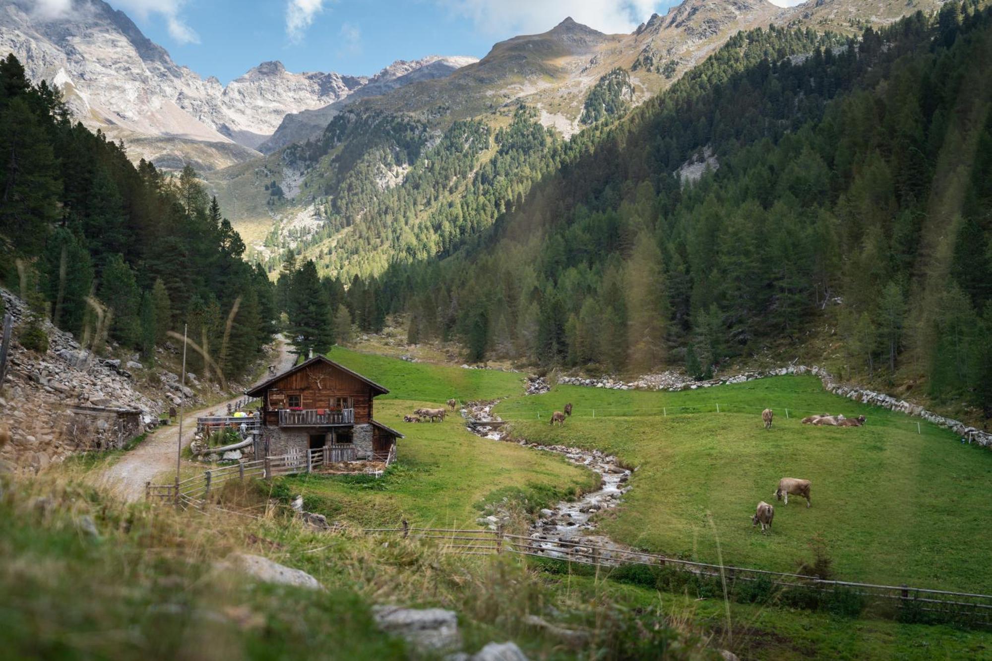 Farm stay Huberhof Gais